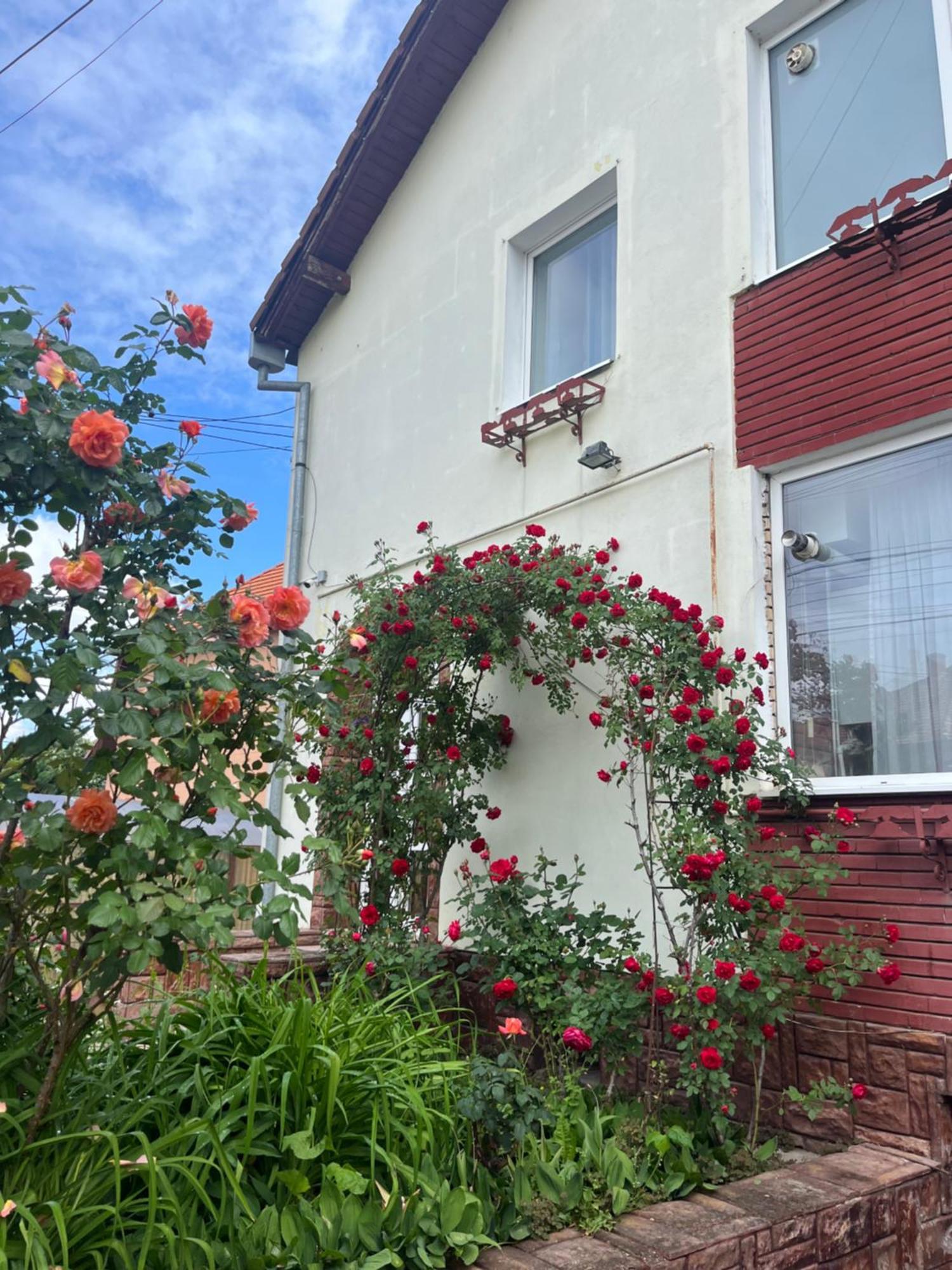 Casa Conti Hotel Sibiu Eksteriør billede